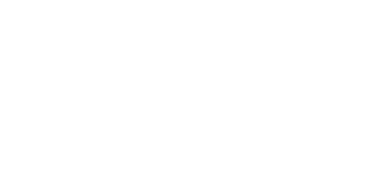 Lanier Properties